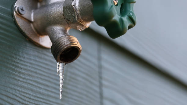 Best Emergency Plumber  in Sheboygan, WI